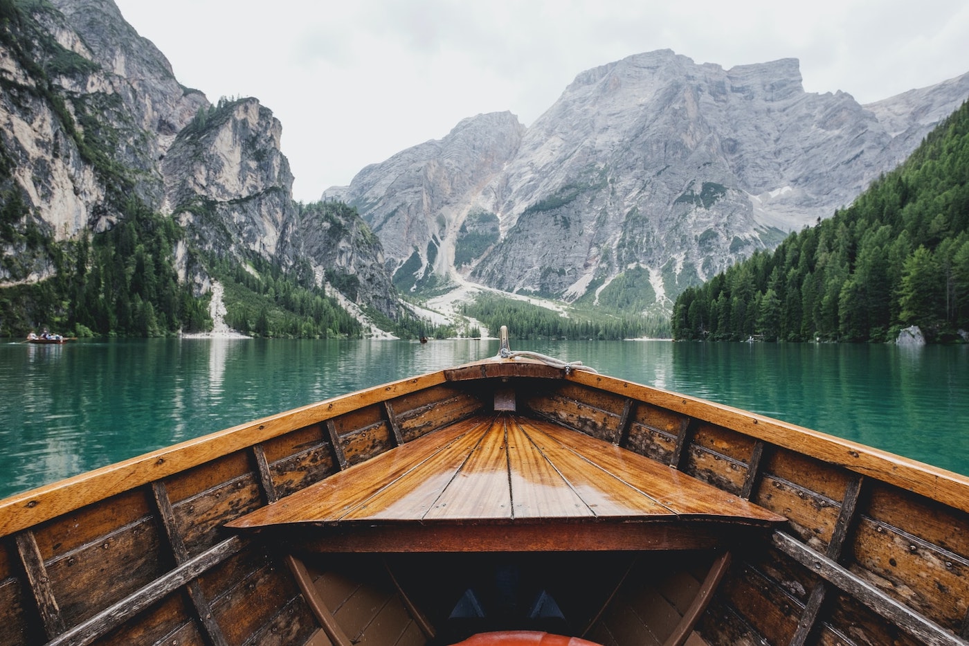 Calm in the Midst of Chaos