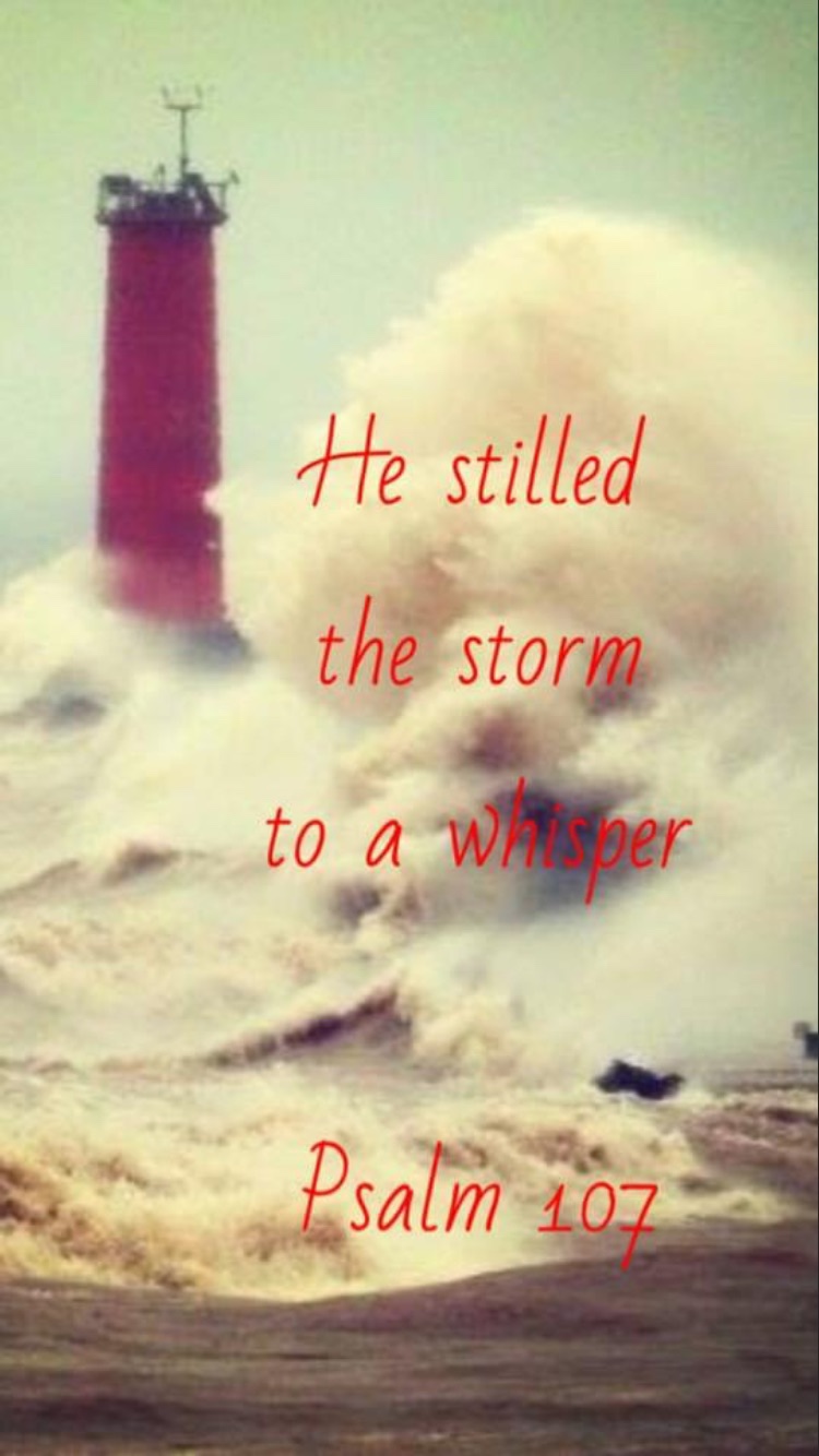 Moving Forward After the Storm